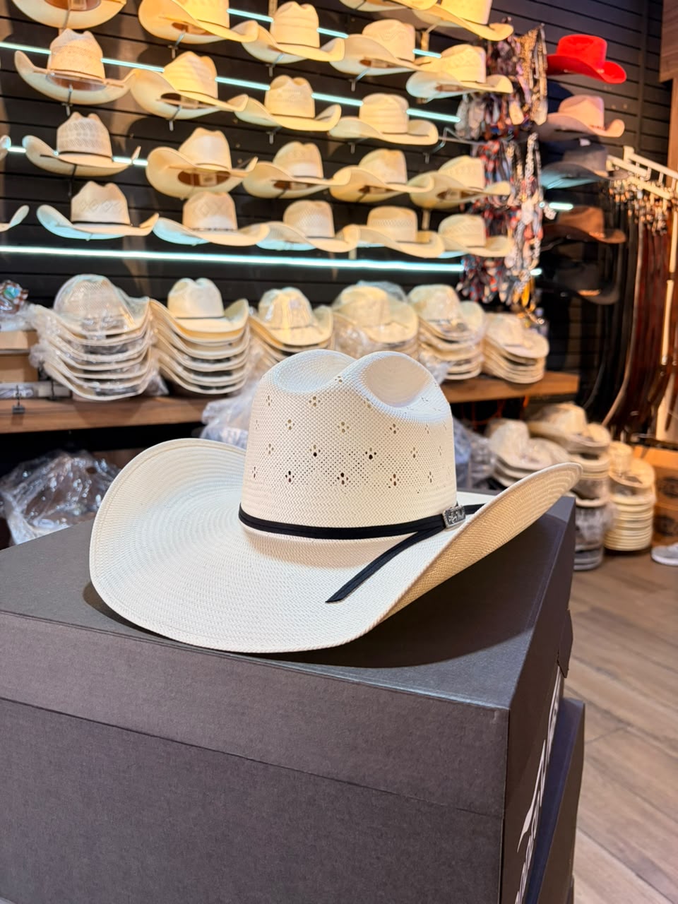 Sombrero Trevol Americano Fino