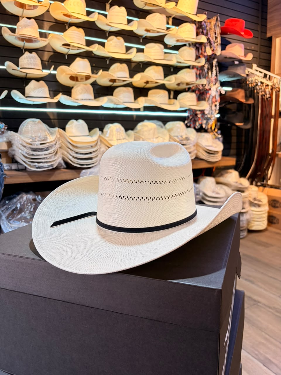 Sombrero Doble Randa Minnick Fino
