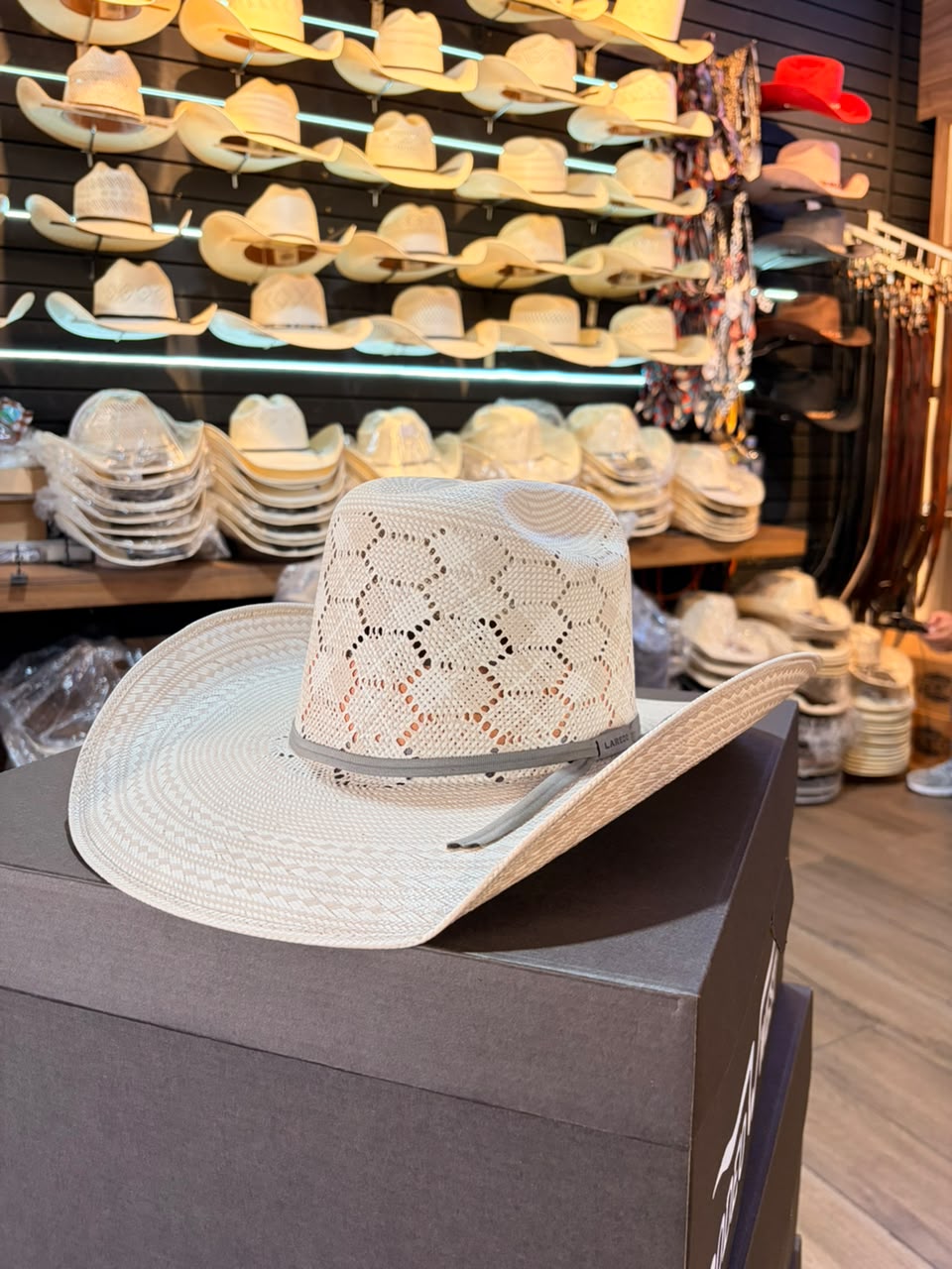 Sombrero Hexagonal Bicolor Minnick Fino