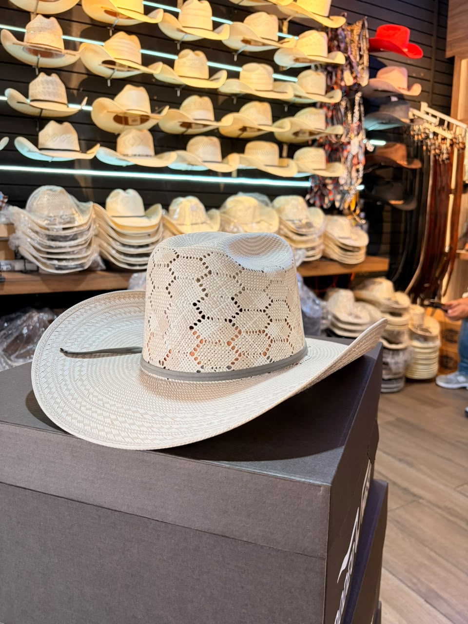 Sombrero Hexagonal Bicolor Minnick Fino