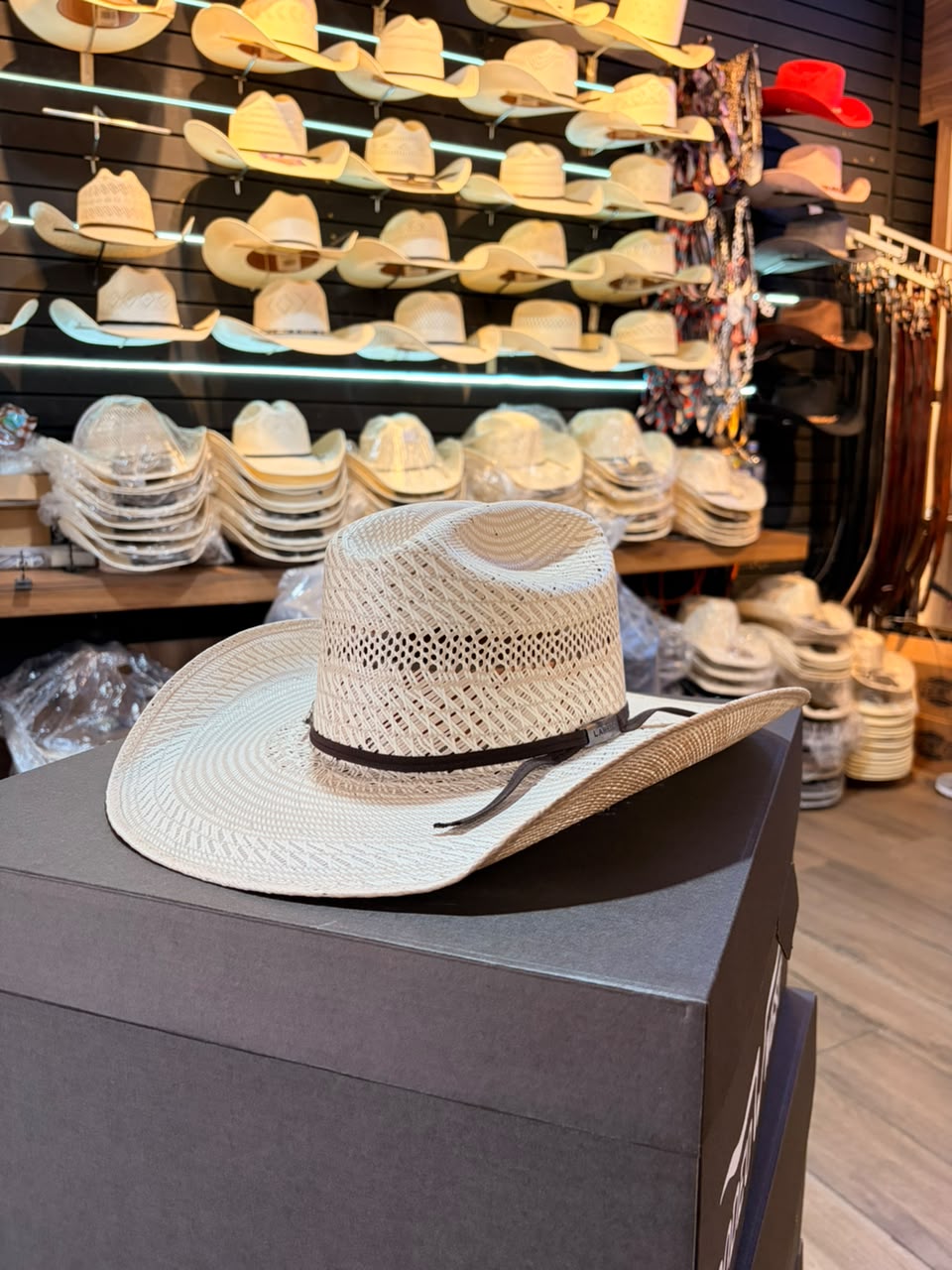 Sombrero Randado Bicolor Americano Fino