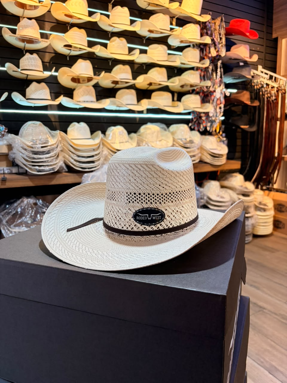 Sombrero Randado Bicolor Minnick Fino