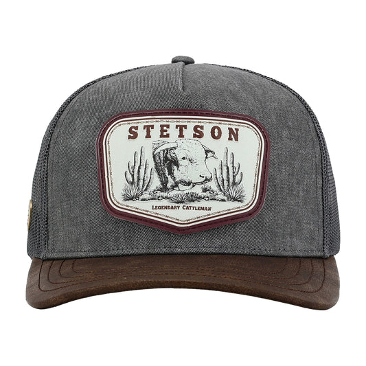 Gorra Stetson 73